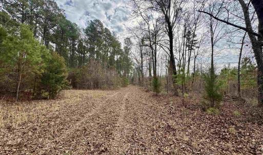 Photo #36 of 106.6 Acres-TBD Highway 52, Salters, SC 106.6 acres