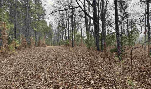 Photo #28 of 106.6 Acres-TBD Highway 52, Salters, SC 106.6 acres