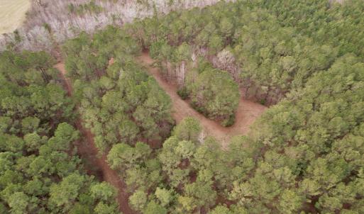 Photo #45 of 106.6 Acres-TBD Highway 52, Salters, SC 106.6 acres