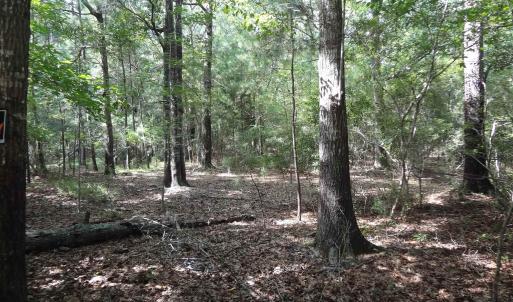 Photo #6 of 112 Duany Dr., Georgetown, SC 0.1 acres