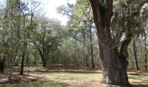 Photo #31 of 112 Duany Dr., Georgetown, SC 0.1 acres
