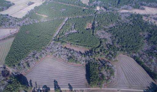 Photo #10 of 23.30 Acres-TBD Dainty Ave, Kingstree, SC 23.3 acres