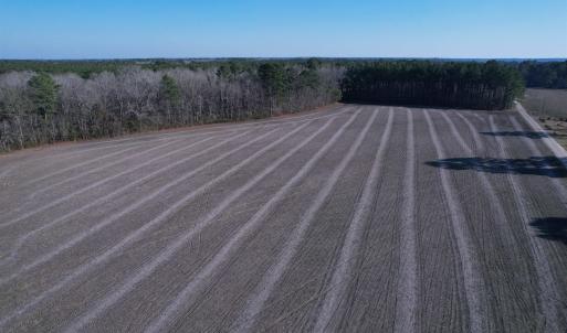 Photo #15 of 23.30 Acres-TBD Dainty Ave, Kingstree, SC 23.3 acres