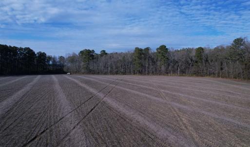 Photo #18 of 23.30 Acres-TBD Dainty Ave, Kingstree, SC 23.3 acres