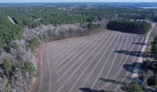 Photo #16 of 23.30 Acres-TBD Dainty Ave, Kingstree, SC 23.3 acres