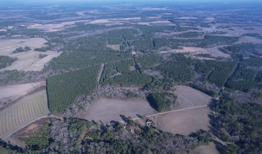 Photo #17 of 23.30 Acres-TBD Dainty Ave, Kingstree, SC 23.3 acres