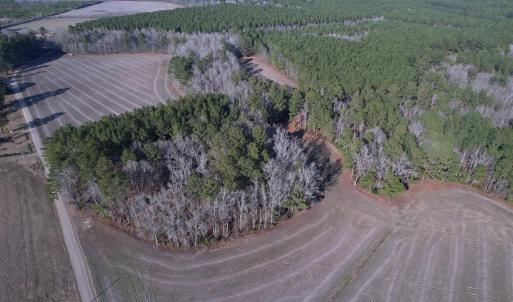 Photo #13 of 23.30 Acres-TBD Dainty Ave, Kingstree, SC 23.3 acres