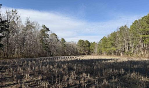 Photo #5 of 23.30 Acres-TBD Dainty Ave, Kingstree, SC 23.3 acres