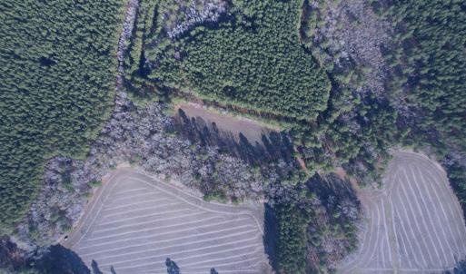 Photo #11 of 23.30 Acres-TBD Dainty Ave, Kingstree, SC 23.3 acres