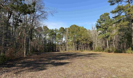 Photo #7 of 23.30 Acres-TBD Dainty Ave, Kingstree, SC 23.3 acres