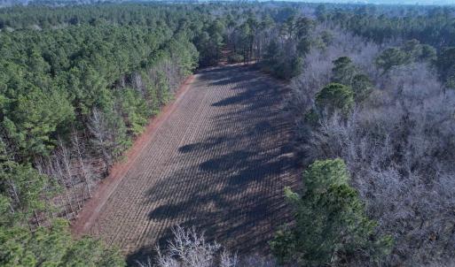 Photo #14 of 23.30 Acres-TBD Dainty Ave, Kingstree, SC 23.3 acres