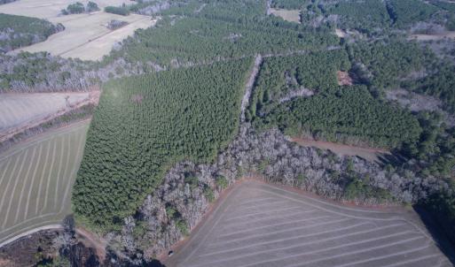 Photo #9 of 23.30 Acres-TBD Dainty Ave, Kingstree, SC 23.3 acres