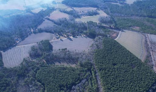 Photo #12 of 23.30 Acres-TBD Dainty Ave, Kingstree, SC 23.3 acres