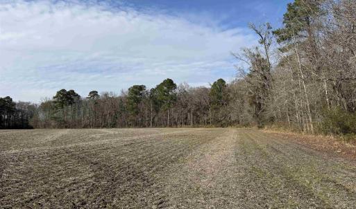 Photo #4 of 23.30 Acres-TBD Dainty Ave, Kingstree, SC 23.3 acres
