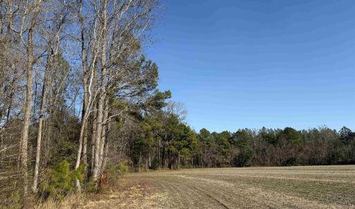Photo #3 of 23.30 Acres-TBD Dainty Ave, Kingstree, SC 23.3 acres