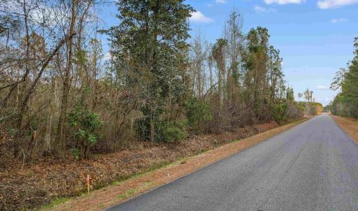 Photo #3 of TBD Fowler School Rd., Green Sea, SC 23.7 acres