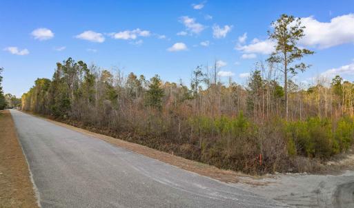 Photo #2 of TBD Fowler School Rd., Green Sea, SC 23.7 acres