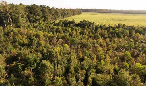 Photo #8 of 22 Acres-TBD Baxley Rd., Hemingway, SC 22.1 acres