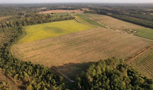 Photo #2 of 22 Acres-TBD Baxley Rd., Hemingway, SC 22.1 acres