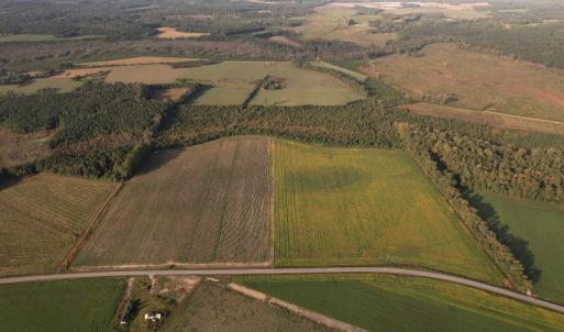 Photo #4 of 22 Acres-TBD Baxley Rd., Hemingway, SC 22.1 acres