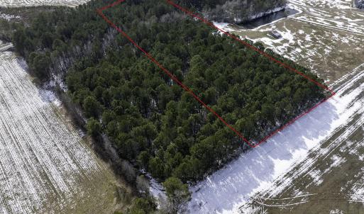 Photo #5 of TBD Carroll Todd Rd., Conway, SC 4.0 acres