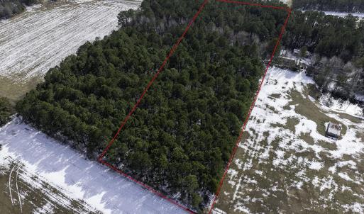 Photo #3 of TBD Carroll Todd Rd., Conway, SC 4.0 acres