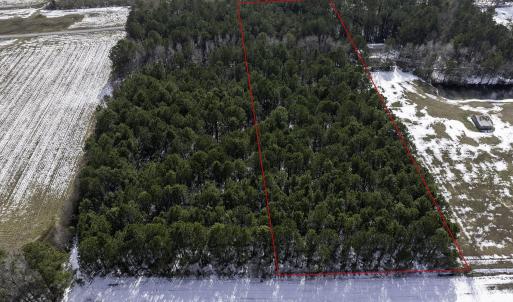 Photo #4 of TBD Carroll Todd Rd., Conway, SC 4.0 acres