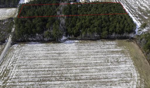 Photo #6 of TBD Carroll Todd Rd., Conway, SC 4.0 acres