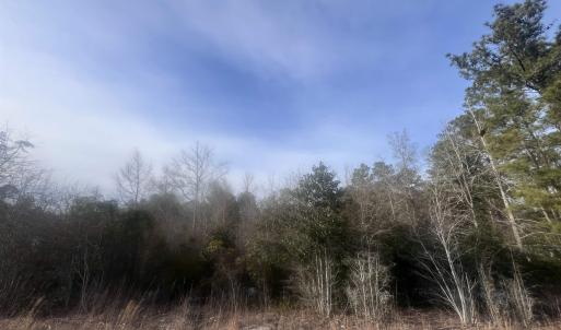 Photo #1 of TBD Retired Ave., Marion, SC 0.8 acres