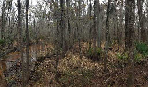 Photo #3 of 3120 High Market St., Georgetown, SC 3.4 acres