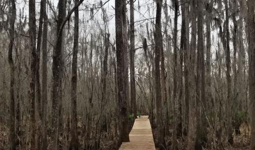 Photo #5 of 3120 High Market St., Georgetown, SC 3.4 acres