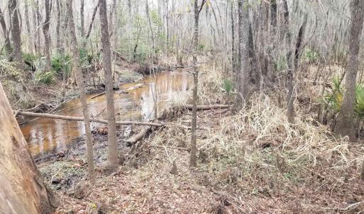 Photo #7 of 3120 High Market St., Georgetown, SC 3.4 acres