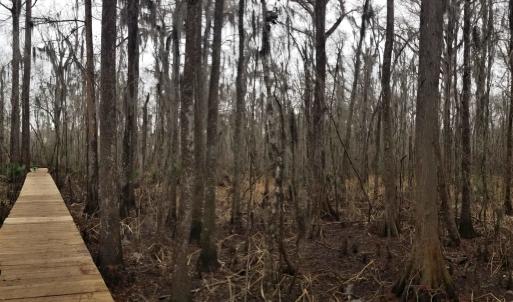 Photo #6 of 3120 High Market St., Georgetown, SC 3.4 acres