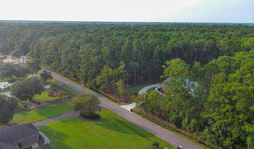 Bird's eye view of a forest