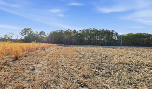 Photo #10 of TBD Black Creek Rd., Nichols, SC 15.0 acres