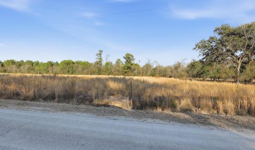 Photo #8 of TBD Black Creek Rd., Nichols, SC 15.0 acres