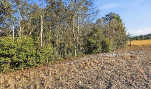 Photo #11 of TBD Black Creek Rd., Nichols, SC 15.0 acres