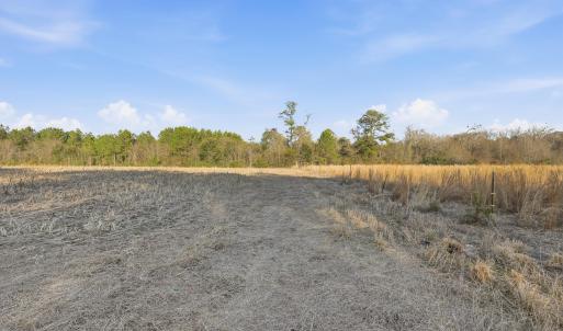 Photo #12 of TBD Black Creek Rd., Nichols, SC 15.0 acres