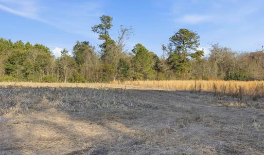 Photo #9 of TBD Black Creek Rd., Nichols, SC 15.0 acres