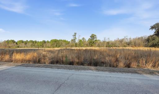 Photo #7 of TBD Black Creek Rd., Nichols, SC 15.0 acres
