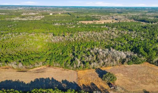 Photo #3 of TBD Black Creek Rd., Nichols, SC 15.0 acres