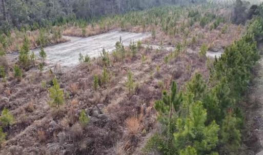 Photo #5 of Lot 7 Amos Rd, Georgetown, SC 5.4 acres