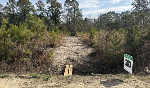 Photo #7 of Lot 7 Amos Rd, Georgetown, SC 5.4 acres