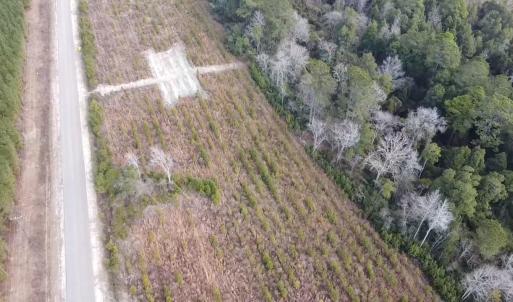 Photo #3 of Lot 7 Amos Rd, Georgetown, SC 5.4 acres