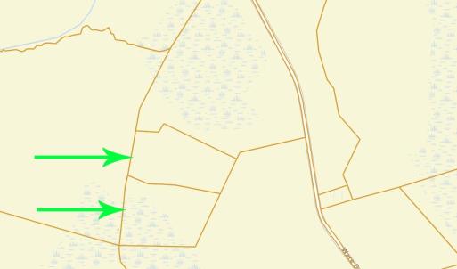 Photo #4 of 8862 Ware Dr., Nichols, SC 23.2 acres