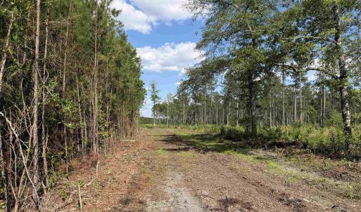 Photo #12 of 8862 Ware Dr., Nichols, SC 23.2 acres