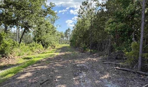 Photo #2 of 8862 Ware Dr., Nichols, SC 23.2 acres
