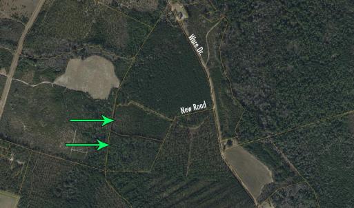 Photo #3 of 8862 Ware Dr., Nichols, SC 23.2 acres