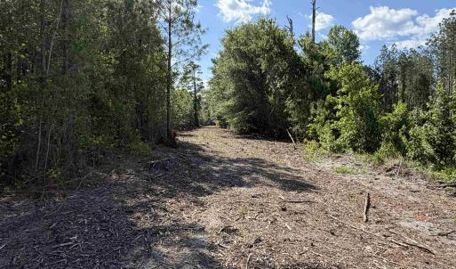 Photo #6 of 8862 Ware Dr., Nichols, SC 23.2 acres