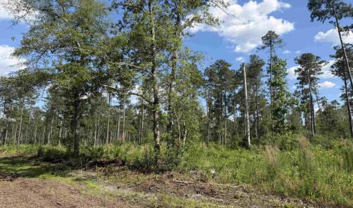 Photo #13 of 8862 Ware Dr., Nichols, SC 23.2 acres